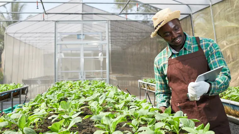Agricultural Insurance in Kenya